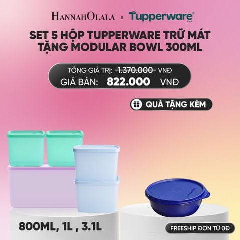  SET 5 HỘP TUPPERWAR TRỮ MÁT TẶNG MODULAR BOWL 300ML_A313 