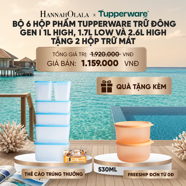  BỘ 6 HỘP ĐỰNG THỰC PHẨM TUPPERWARE TRỮ ĐÔNG GEN I 1L HIGH, 1.7L LOW VÀ 2.6L HIGH TẶNG 2 HỘP TRỮ MÁT_ D862 
