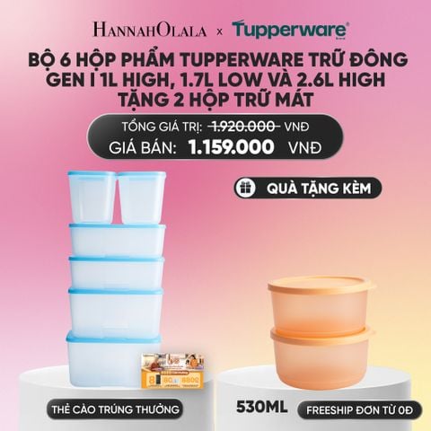  BỘ 6 HỘP ĐỰNG THỰC PHẨM TUPPERWARE TRỮ ĐÔNG GEN I 1L HIGH, 1.7L LOW VÀ 2.6L HIGH TẶNG 2 HỘP TRỮ MÁT_A299 