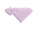  A580_DEAL 5: PHẤN MÁ HỒNG KÈM GƯƠNG FITTING BLUSHES 5G 