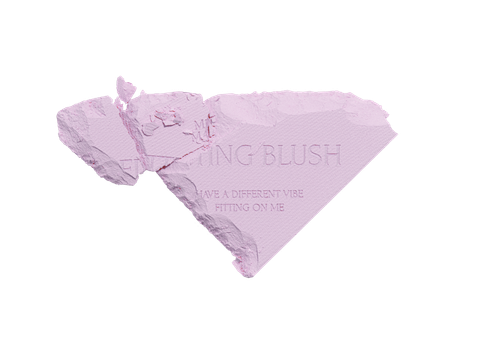  A580_DEAL 5: PHẤN MÁ HỒNG KÈM GƯƠNG FITTING BLUSHES 5G 