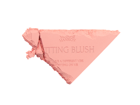  A580_DEAL 5: PHẤN MÁ HỒNG KÈM GƯƠNG FITTING BLUSHES 5G 