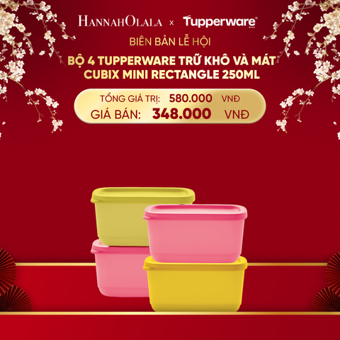  DEAL 10: BỘ 4 HỘP TUPPERWARE TRỮ KHÔ VÀ MÁT CUBIX MINI RECTANGLE 250ML 
