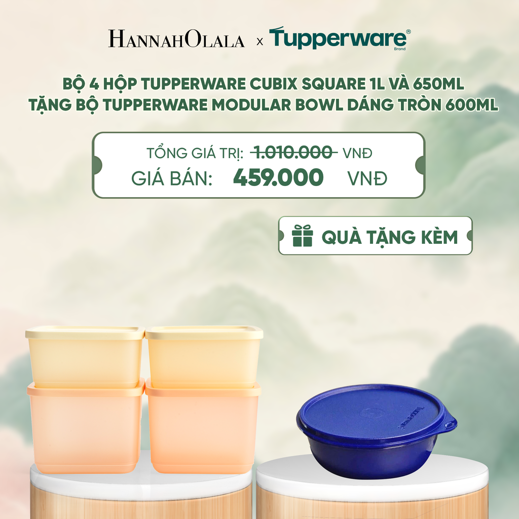  BỘ 4 HỘP ĐỰNG THỰC PHẨM TUPPERWARE TRỮ KHÔ VÀ MÁT CUBIX SQUARE 1L VÀ 650ML - DEAL 26 - A2045 
