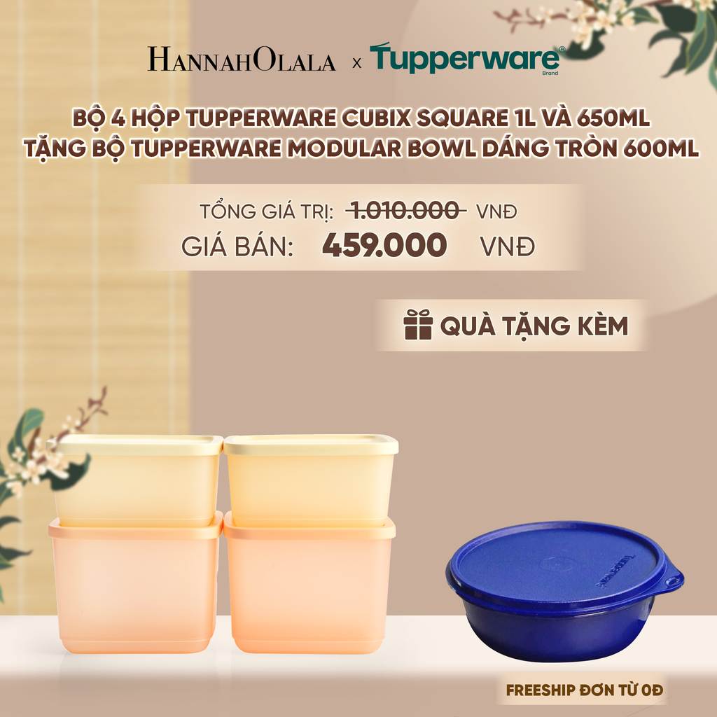  BỘ 4 HỘP ĐỰNG THỰC PHẨM TUPPERWARE TRỮ KHÔ VÀ MÁT CUBIX SQUARE 1L VÀ 650ML - DEAL 26 - A1548 