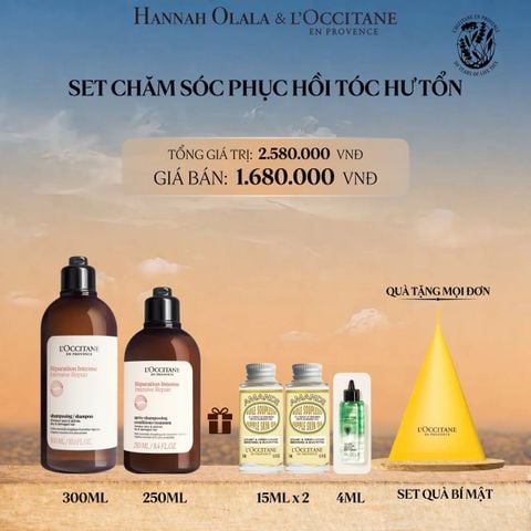 SET CHĂM SÓC PHỤC HỒI TÓC HƯ TỔN L'OCCITANE INTENSIVE REPAIR 
