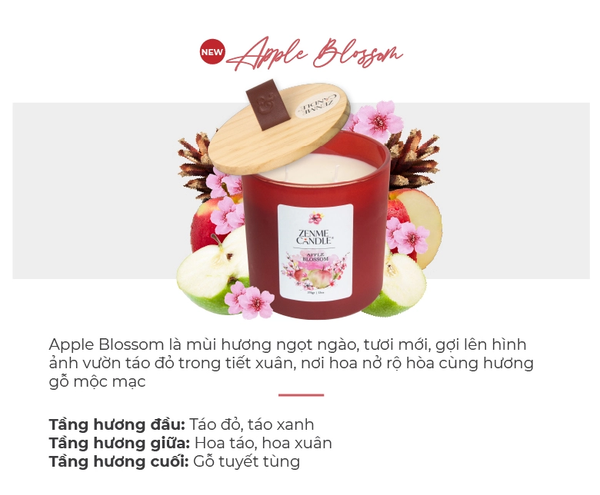  2 NẾN LY MÀU ZENME CANDLE DEAL 6: - A2211 
