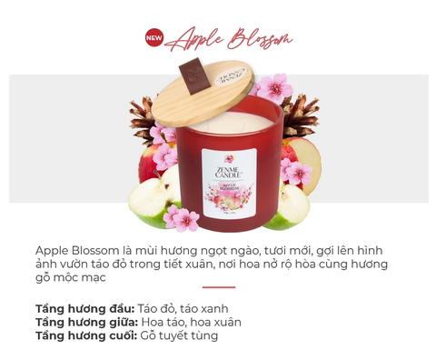  2 NẾN LY MÀU ZENME CANDLE DEAL 6: - A884 
