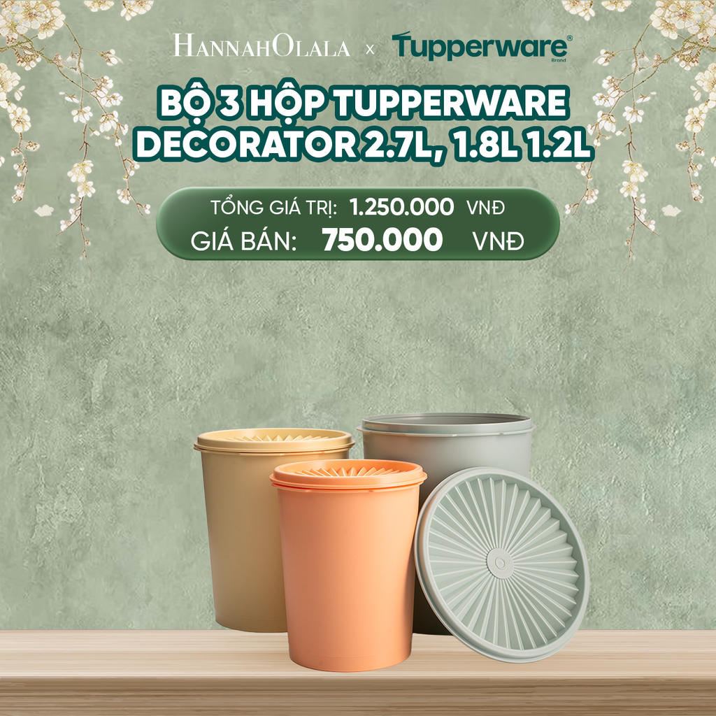  DEAL 10: BỘ 3 HỘP ĐỰNG THỰC PHẨM TUPPERWARE DECORATOR 2.7L, 1.8L 1.2L 