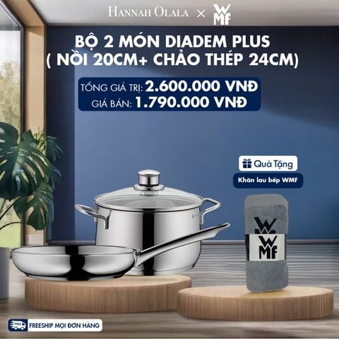  BỘ 2 MÓN DIADEM PLUS ( NỒI 20CM+ CHẢO THÉP 24CM) 