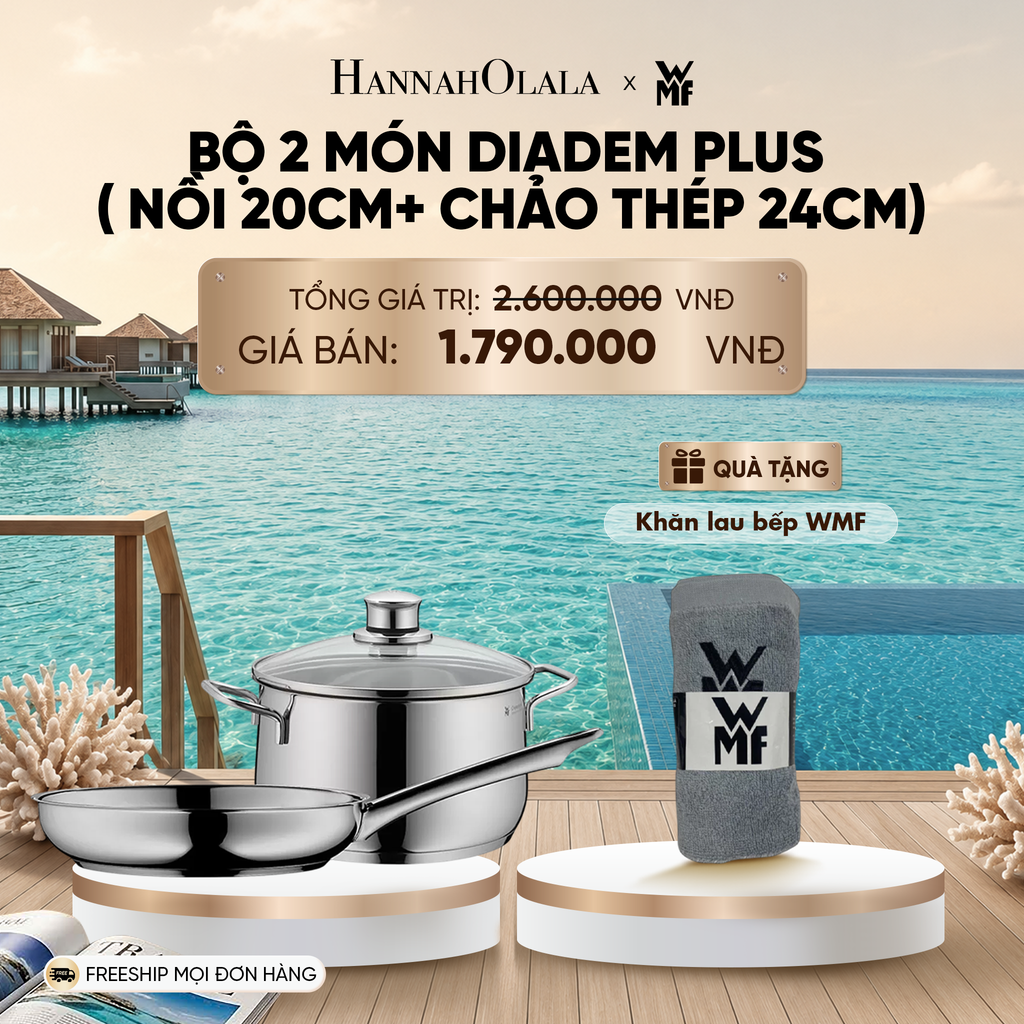  BỘ 2 MÓN DIADEM PLUS ( NỒI 20CM+ CHẢO THÉP 24CM)_ D798 