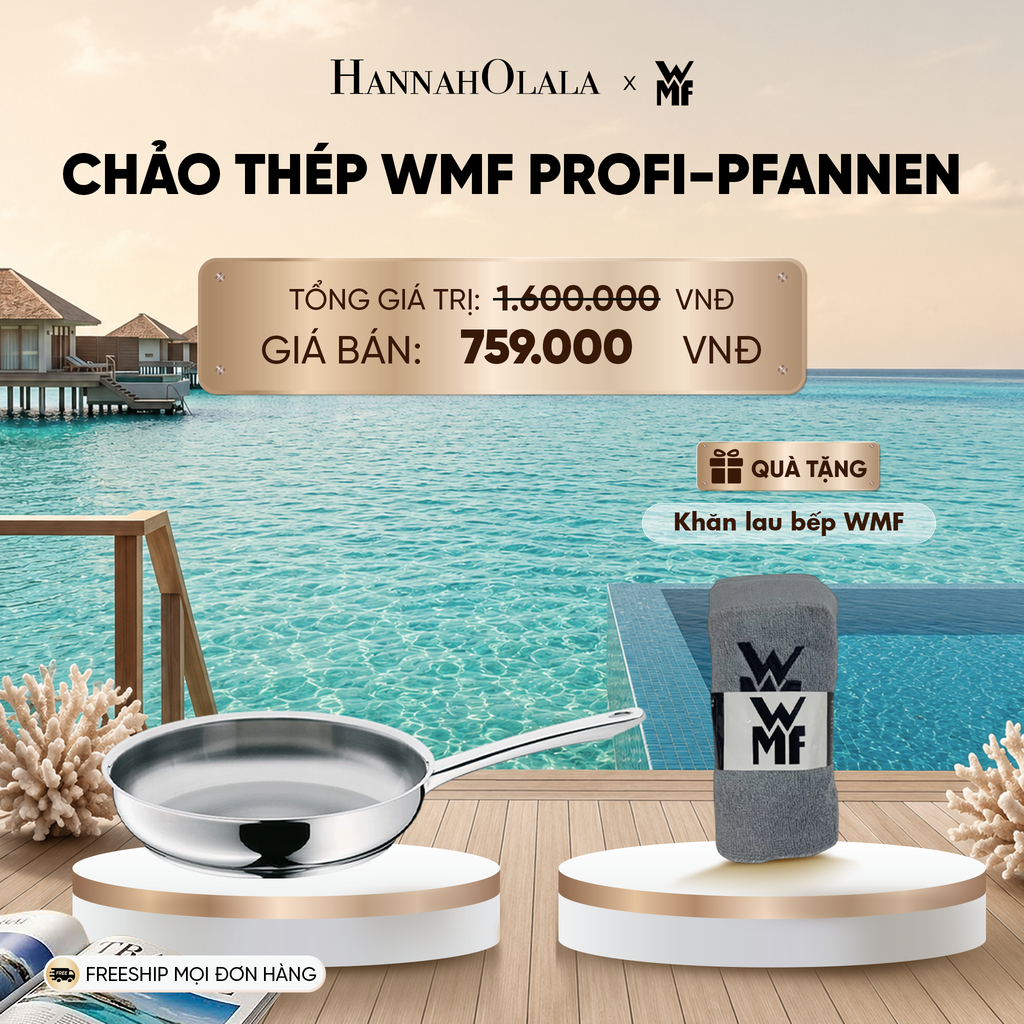  CHẢO THÉP WMF PROFI-PFANNEN_ D765 