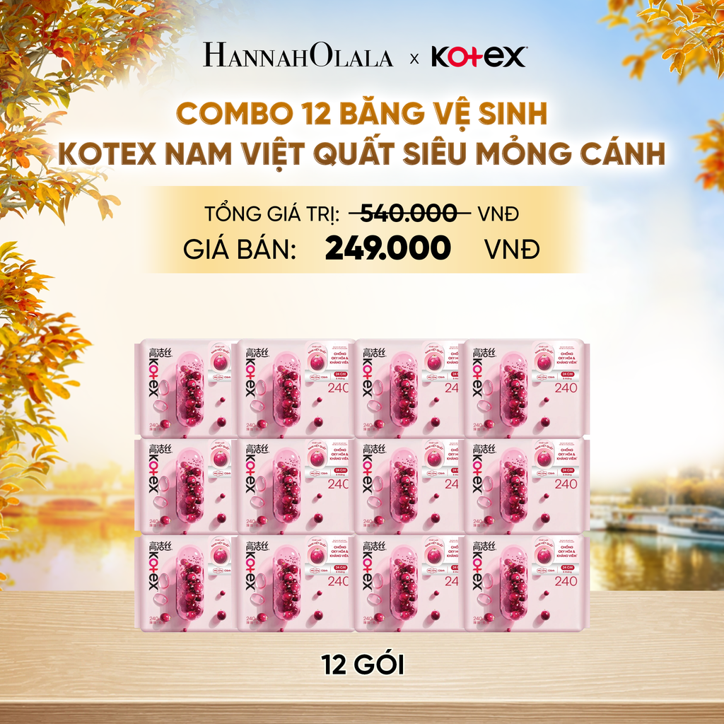  COMBO 12 BĂNG VỆ SINH KOTEX NAM VIỆT QUẤT SIÊU MỎNG CÁNH 24CM 8 MIẾNG - E897 