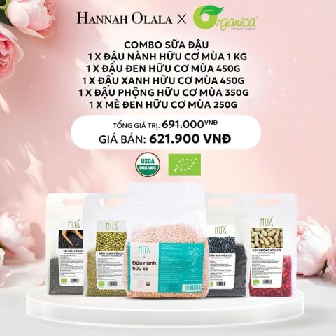  E159: DEAL 17: COMBO SỮA ĐẬU: 1X ĐẬU NÀNH HỮU CƠ MÙA 1 KG, 1X ĐẬU ĐEN HỮU CƠ MÙA 450GR, 1X ĐẬU XANH HỮU CƠ MÙA 450GR, 1X ĐẬU PHỘNG HỮU CƠ MÙA 350GR, 1X MÈ ĐEN HỮU CƠ MÙA 250GR 