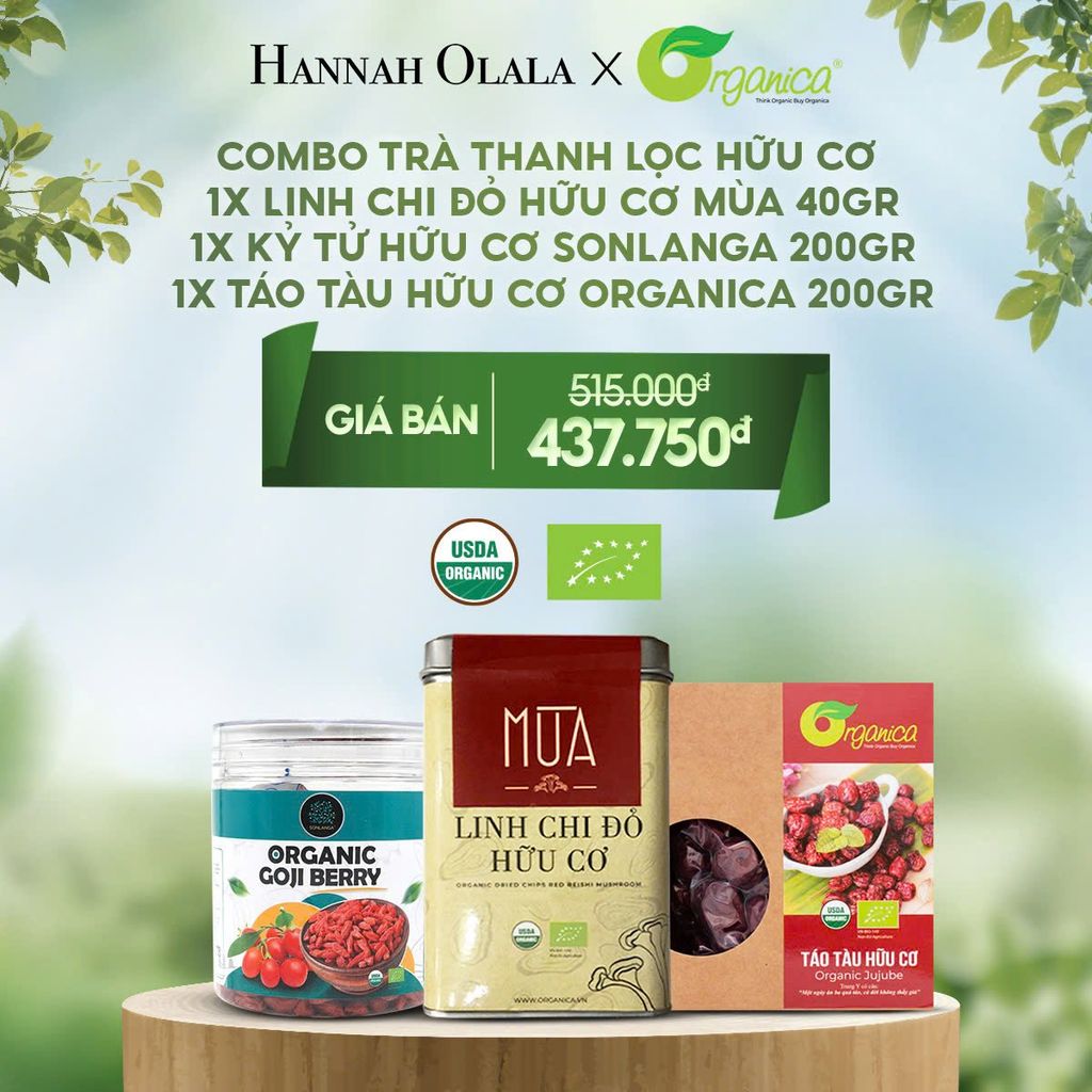  DEAL 18: COMBO TRÀ THANH LỌC HỮU CƠ  1X LINH CHI ĐỎ HỮU CƠ MÙA 40GR 1X KỶ TỬ HỮU CƠ SONLANGA 200GR 1X TÁO TÀU HỮU CƠ ORGANICA 200GR 