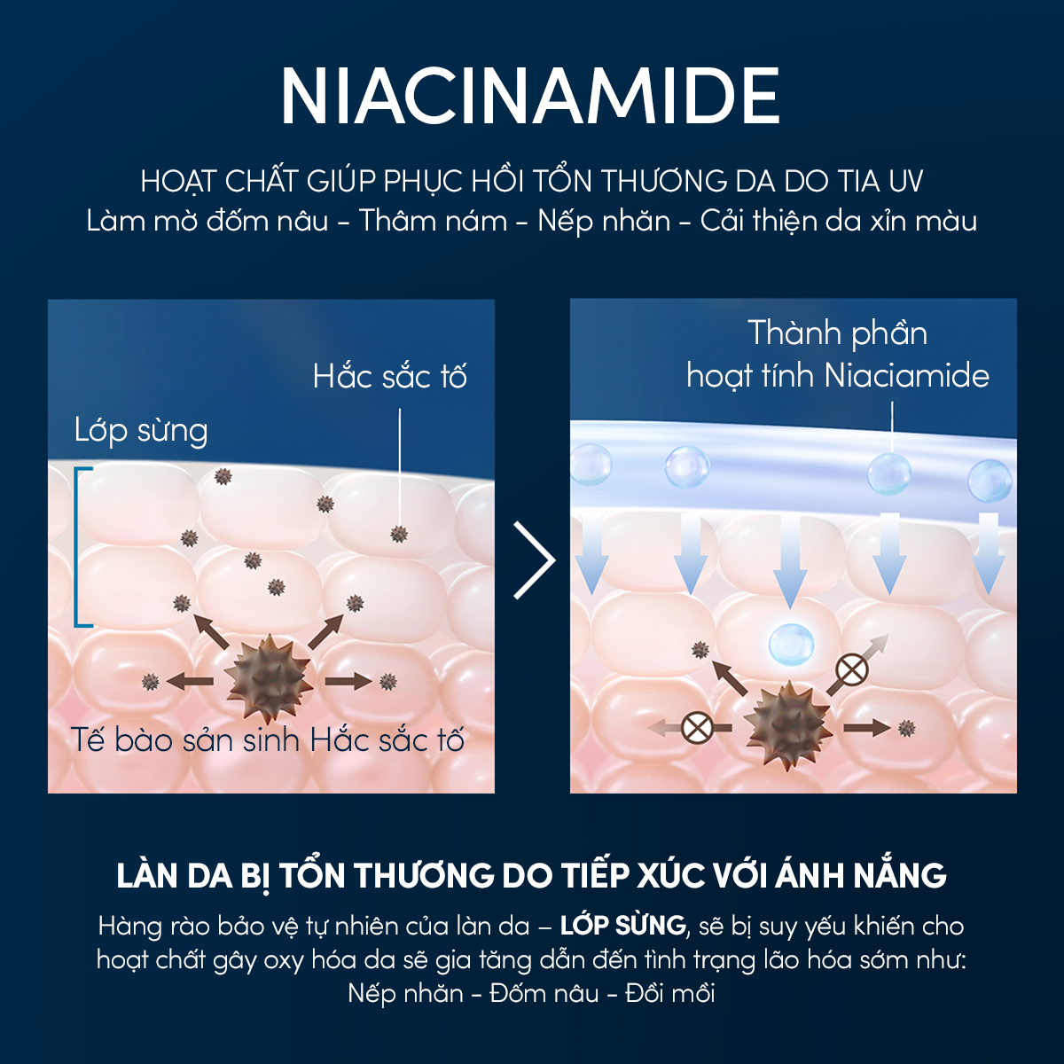  A5_DEAL 13: COMBO SỮA CHỐNG NẮNG & SERUM PHỤC HỒI TỔN THƯƠNG SAU NẮNG AN TOÀN CHO DA NHẠY CẢM ANESSA MILD MILK 60ML + NIGHT SERUM 180ML 