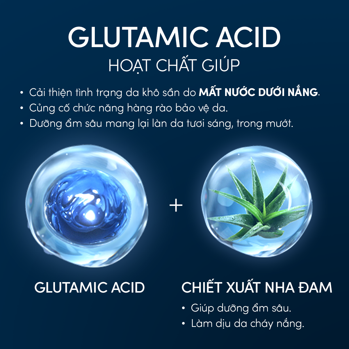 A5_DEAL 13: COMBO SỮA CHỐNG NẮNG & SERUM PHỤC HỒI TỔN THƯƠNG SAU NẮNG AN TOÀN CHO DA NHẠY CẢM ANESSA MILD MILK 60ML + NIGHT SERUM 180ML 