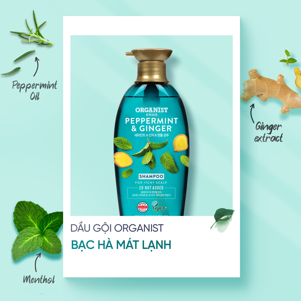  COMBO 2 DẦU GỘI THUẦN CHAY ORGANIST GỪNG & BẠC HÀ 550ML 