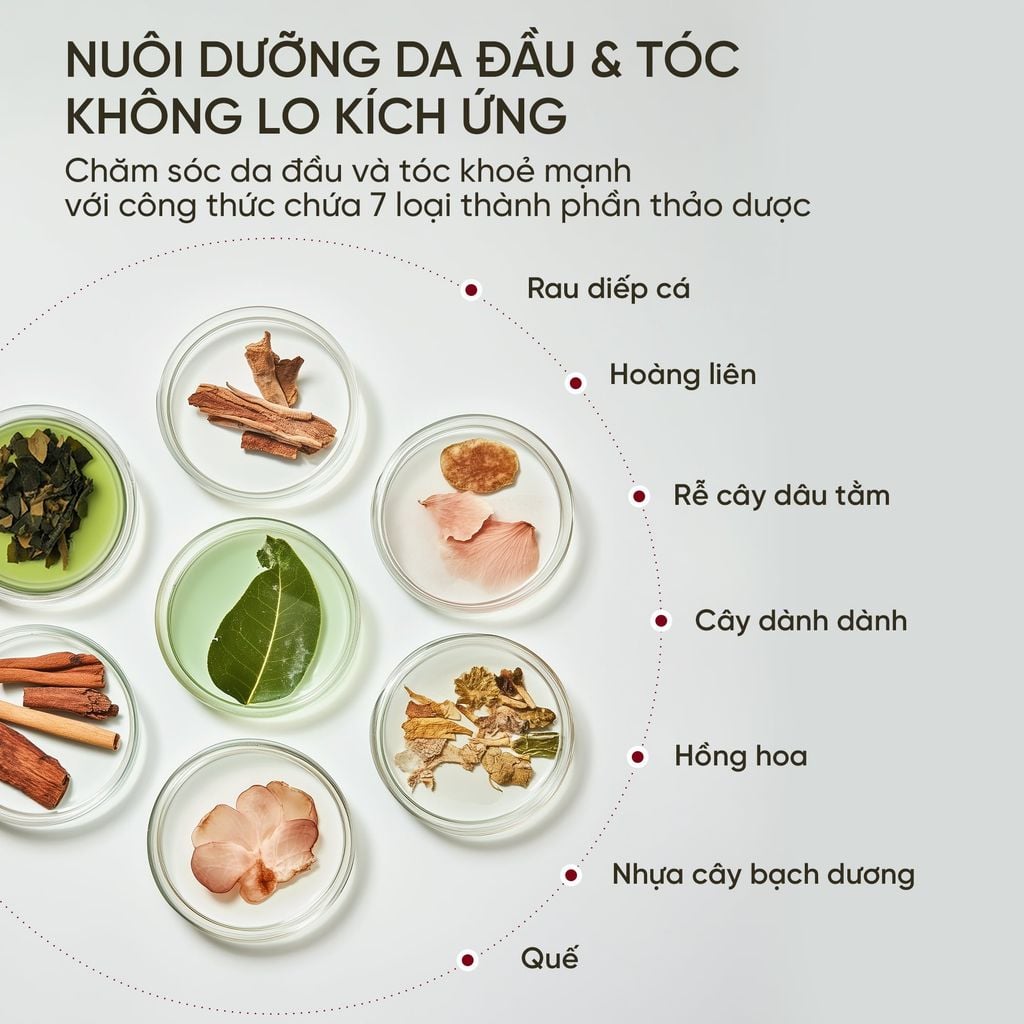  COMBO 2 KEM NHUỘM TÓC PHỦ BẠC THẢO MỘC REEN HEAUKMOBICHEAK CREAM 120G 
