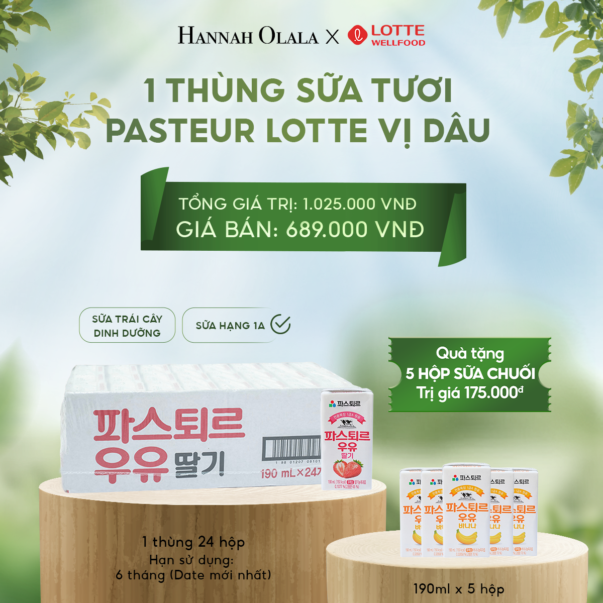  E20_DEAL 2: SỮA TƯƠI PASTEUR VỊ DÂU HẠNG 1A LOTTE 24 HỘP 
