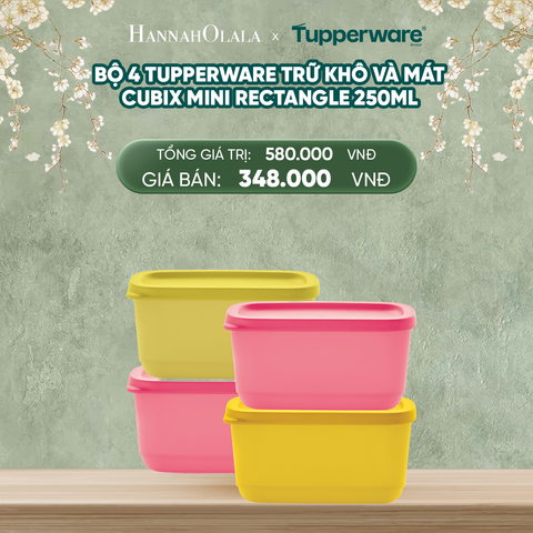  DEAL 13: BỘ 4 HỘP TUPPERWARE TRỮ KHÔ VÀ MÁT CUBIX MINI RECTANGLE 250ML 
