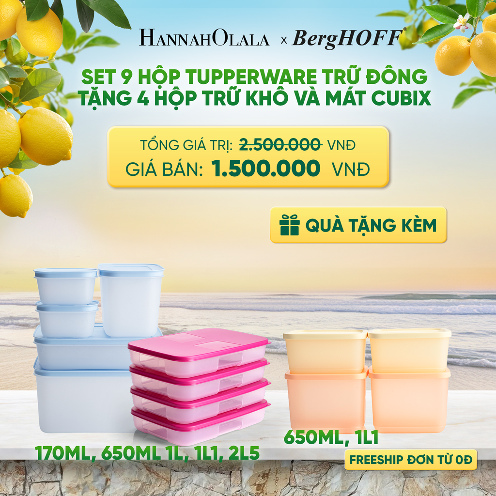  SET 9 HỘP TUPPERWARE TRỮ ĐÔNG TẶNG 4 HỘP TRỮ KHÔ VÀ MÁT CUBIX - DEAL 10 
