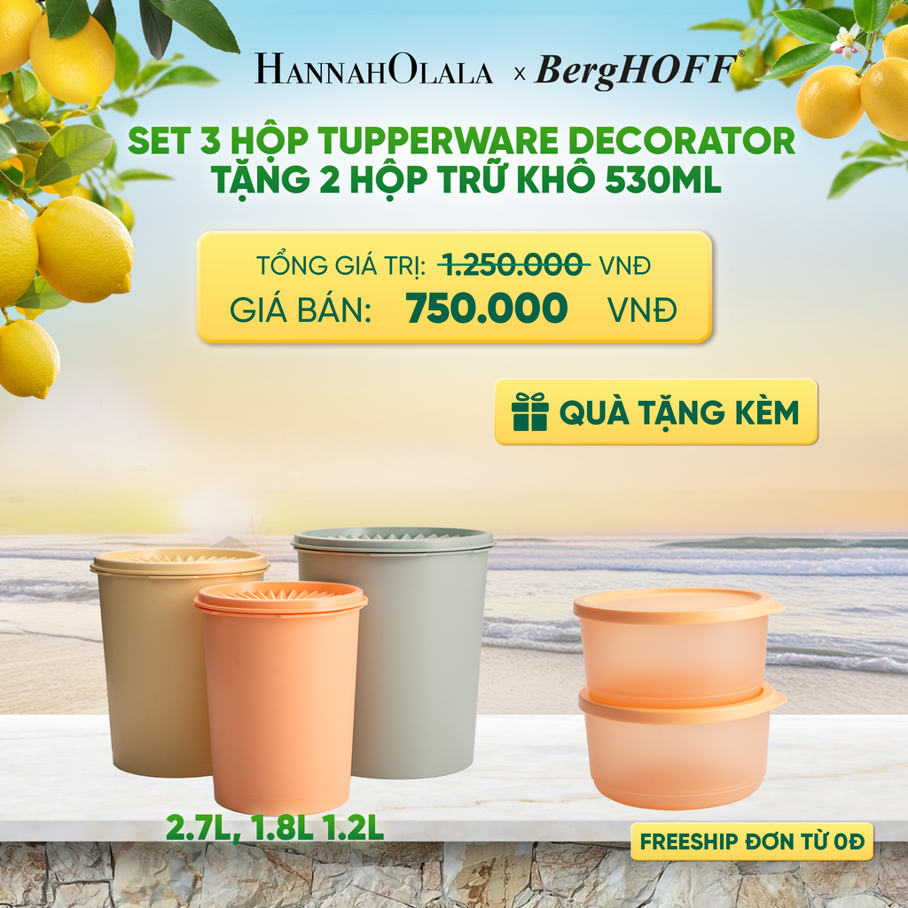  SET 3 HỘP TUPPERWARE DECORATOR TẶNG 2 HỘP TRỮ KHÔ 530ML - DEAL 12 