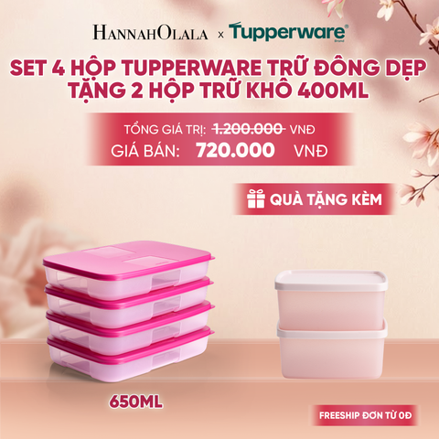  SET 4 HỘP TUPPERWARE TRỮ ĐÔNG DẸP TẶNG 2 HỘP TRỮ KHÔ - DEAL 4 - A928 