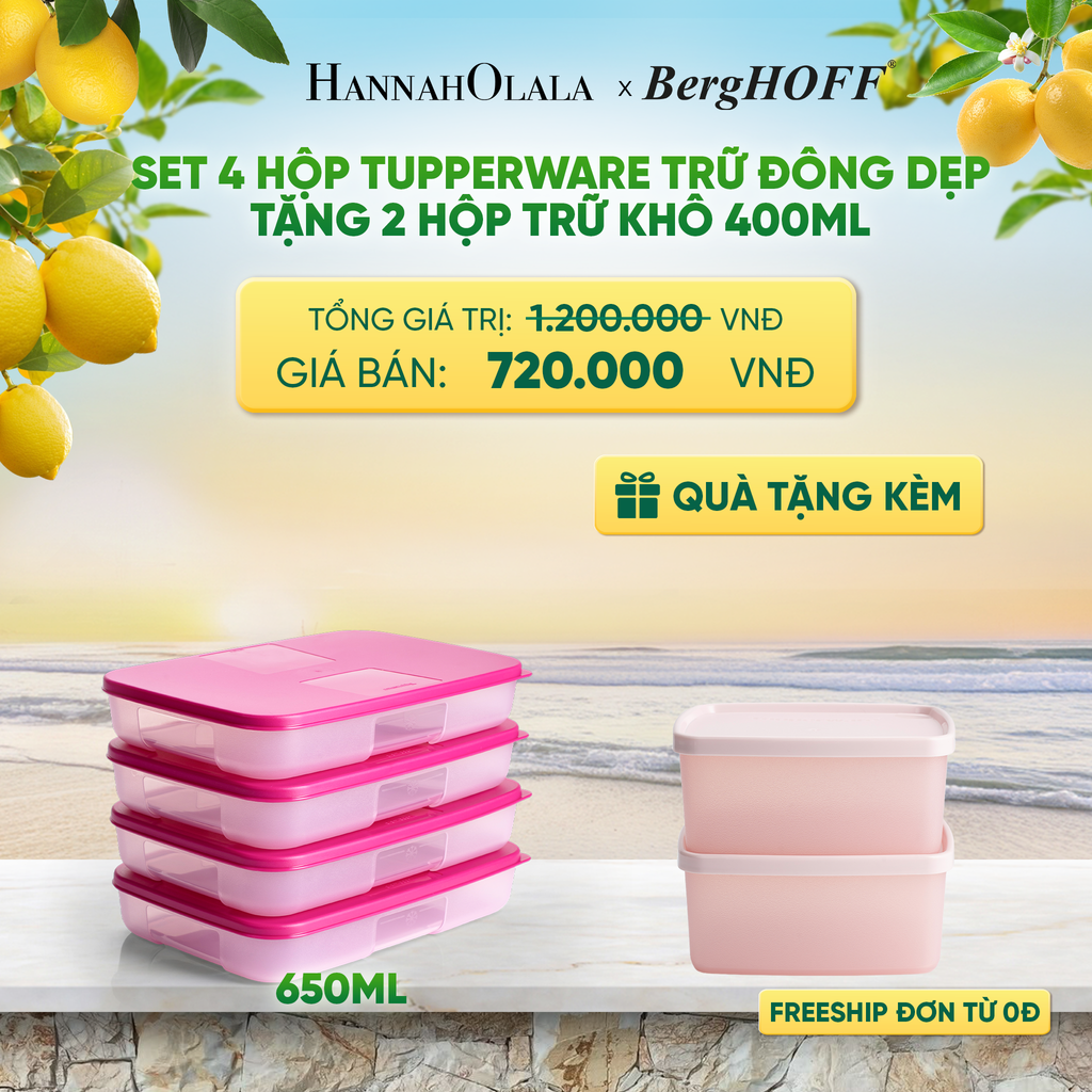  SET 4 HỘP TUPPERWARE TRỮ ĐÔNG DẸP TẶNG 2 HỘP TRỮ KHÔ - DEAL 4 