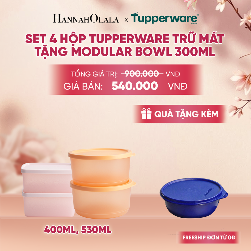  SET 4 HỘP TUPPERWARE TRỮ MÁT TẶNG MODULAR BOWL 300ML - DEAL 8 - A930 