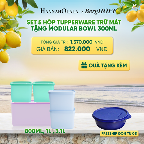  SET 5 HỘP TUPPERWARE TRỮ MÁT TẶNG MODULAR BOWL 300ML - DEAL 9 