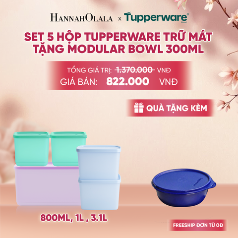  SET 5 HỘP TUPPERWARE TRỮ MÁT TẶNG MODULAR BOWL 300ML - DEAL 9 - A931 
