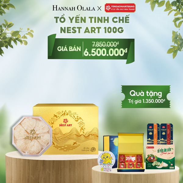  E69_DEAL 4: TỔ YẾN TINH CHẾ NEST ART - 100G 