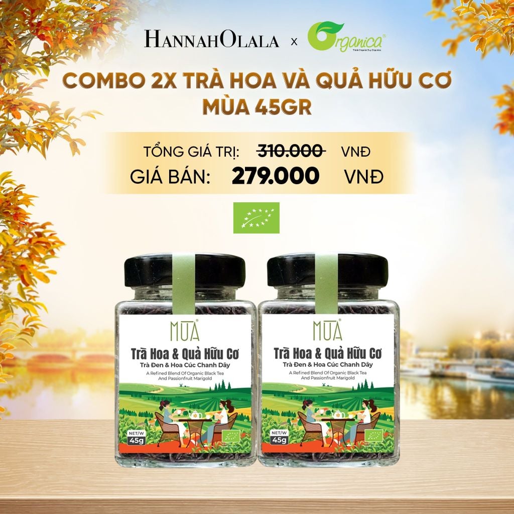  TRÀ HOA VÀ QUẢ HỮU CƠ MÙA 45GR - E567 