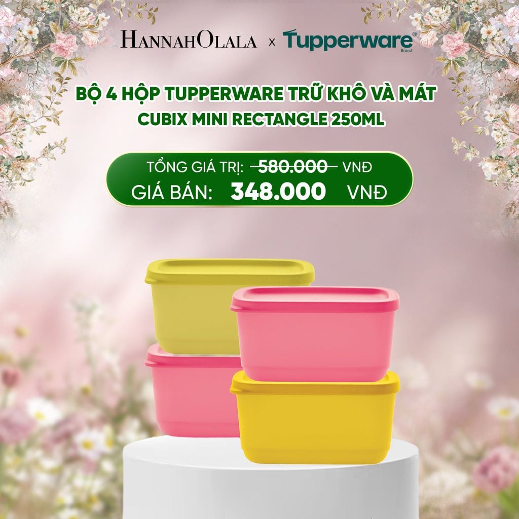  E222_DEAL 40 : BỘ 4 HỘP TUPPERWARE TRỮ KHÔ VÀ MÁT CUBIX MINI RECTANGLE 250ML 