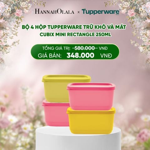  E222_DEAL 40 : BỘ 4 HỘP TUPPERWARE TRỮ KHÔ VÀ MÁT CUBIX MINI RECTANGLE 250ML 