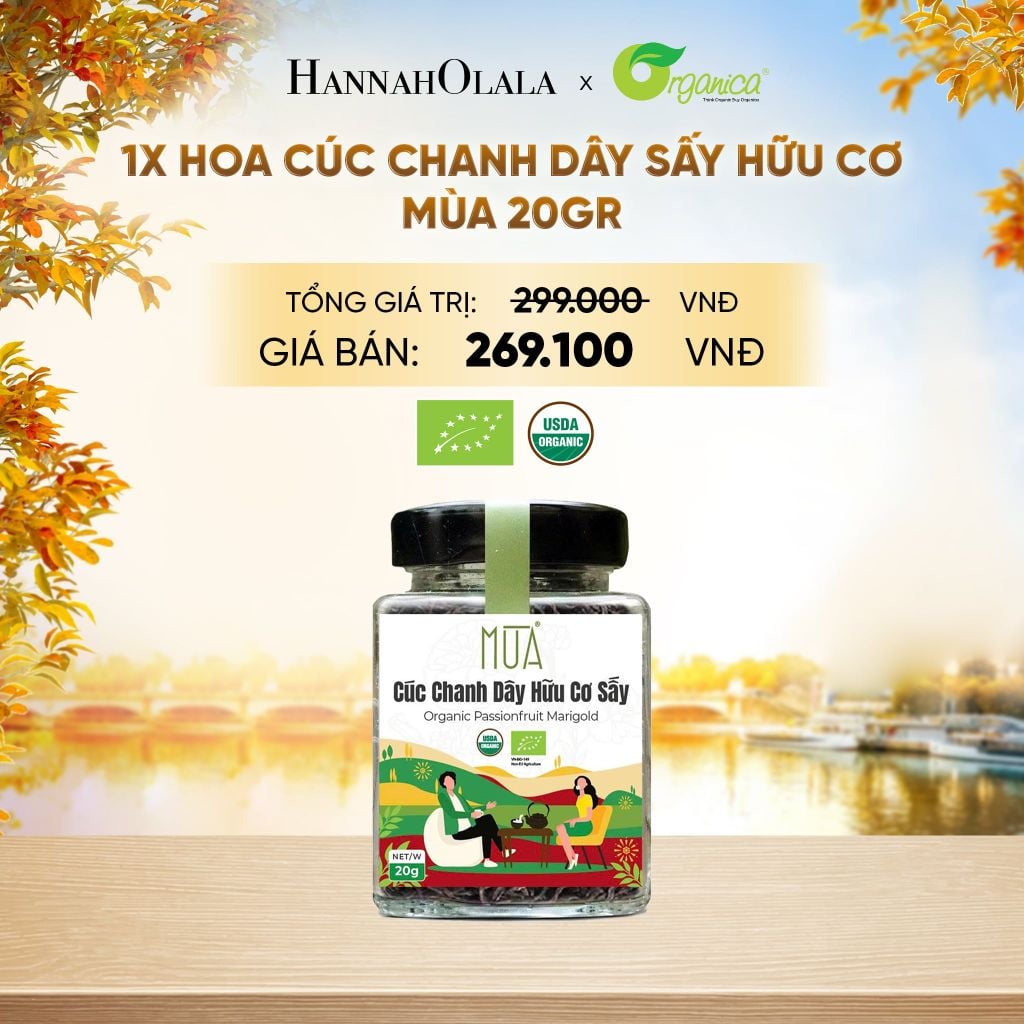  HOA CÚC CHANH DÂY SẤY HỮU CƠ MÙA 20 GR - E569 