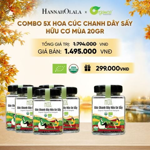  HOA CÚC CHANH DÂY SẤY HỮU CƠ MÙA 20 GR - E569 