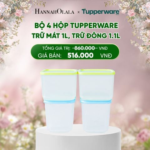  E221_DEAL 41 : BỘ 4 HỘP TUPPERWARE TRỮ MÁT 1L, TRỮ ĐÔNG 1.1L 