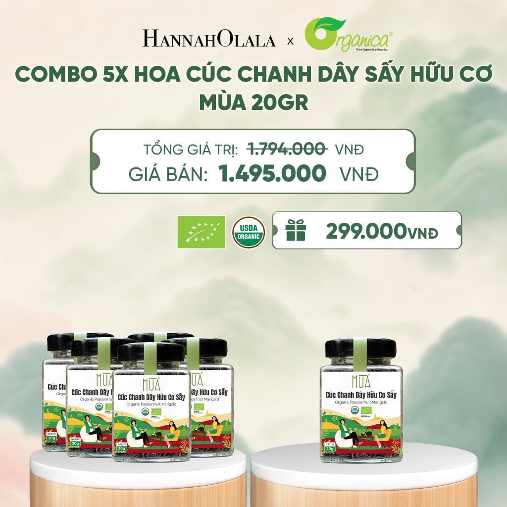  HOA CÚC CHANH DÂY SẤY HỮU CƠ MÙA 20 GR - A1905 