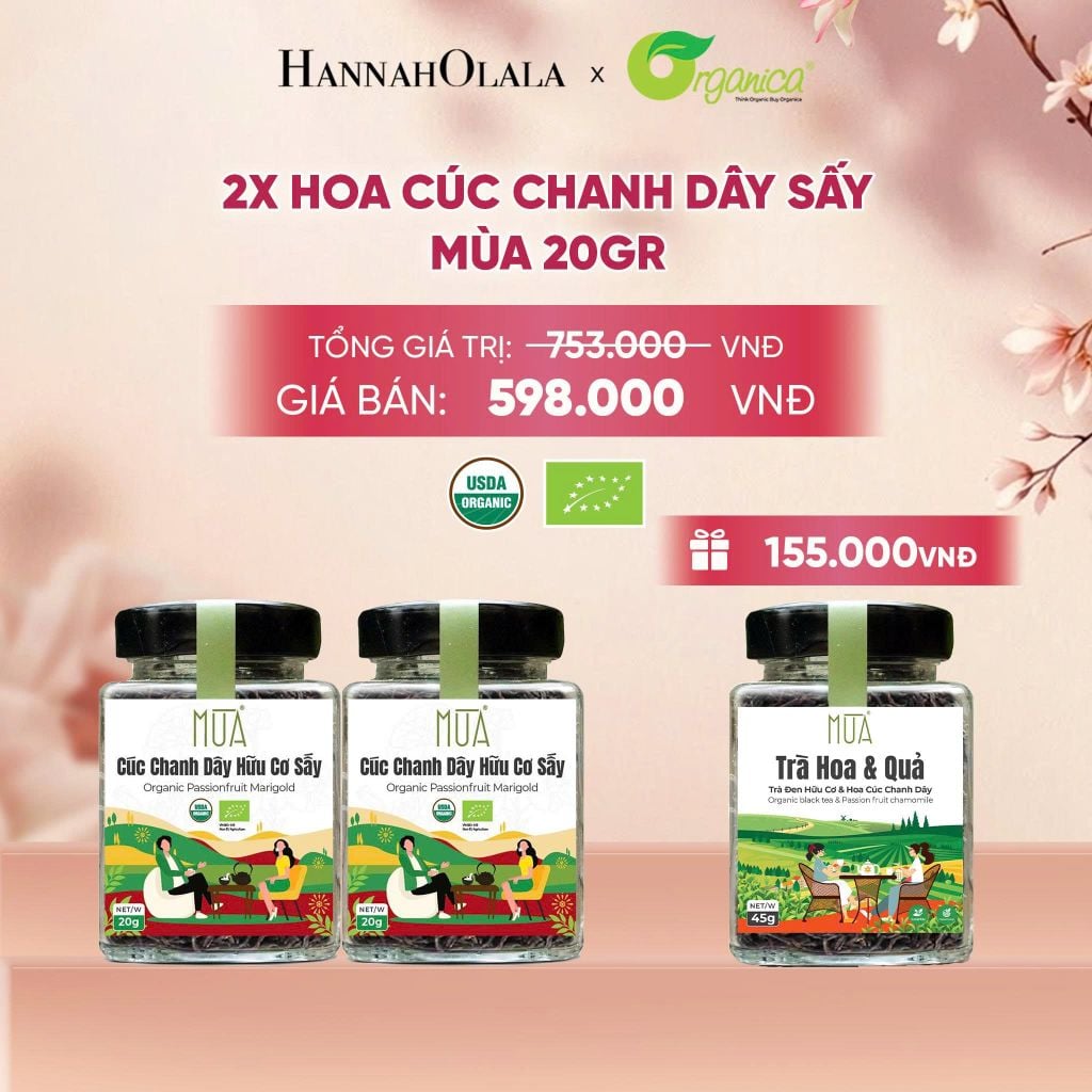  HOA CÚC CHANH DÂY SẤY MÙA 20 GR - A89 