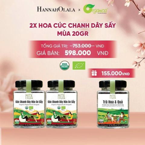  HOA CÚC CHANH DÂY SẤY MÙA 20 GR - A89 