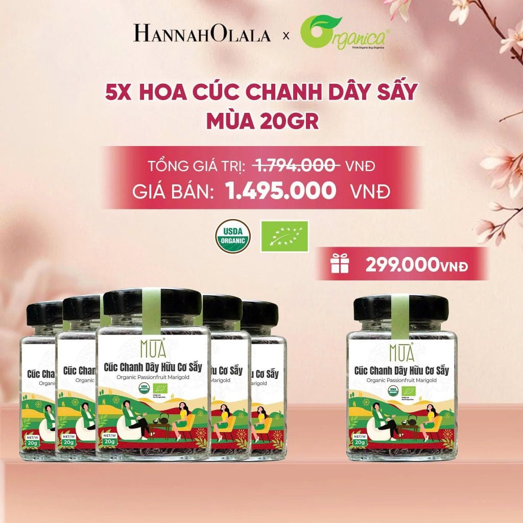  HOA CÚC CHANH DÂY SẤY MÙA 20 GR - A89 