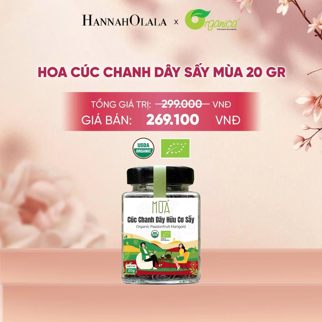  HOA CÚC CHANH DÂY SẤY MÙA 20 GR - A89 