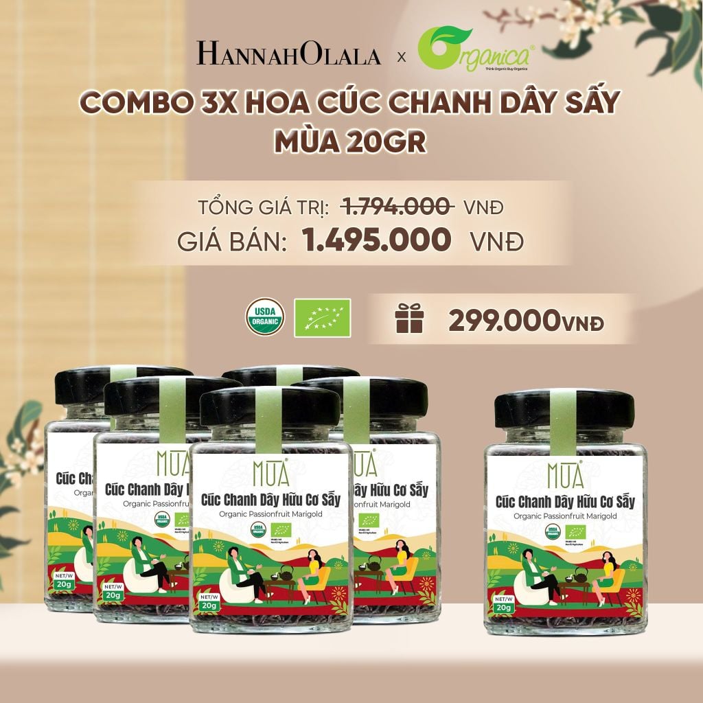  HOA CÚC CHANH DÂY SẤY MÙA 20 GR - A1465 