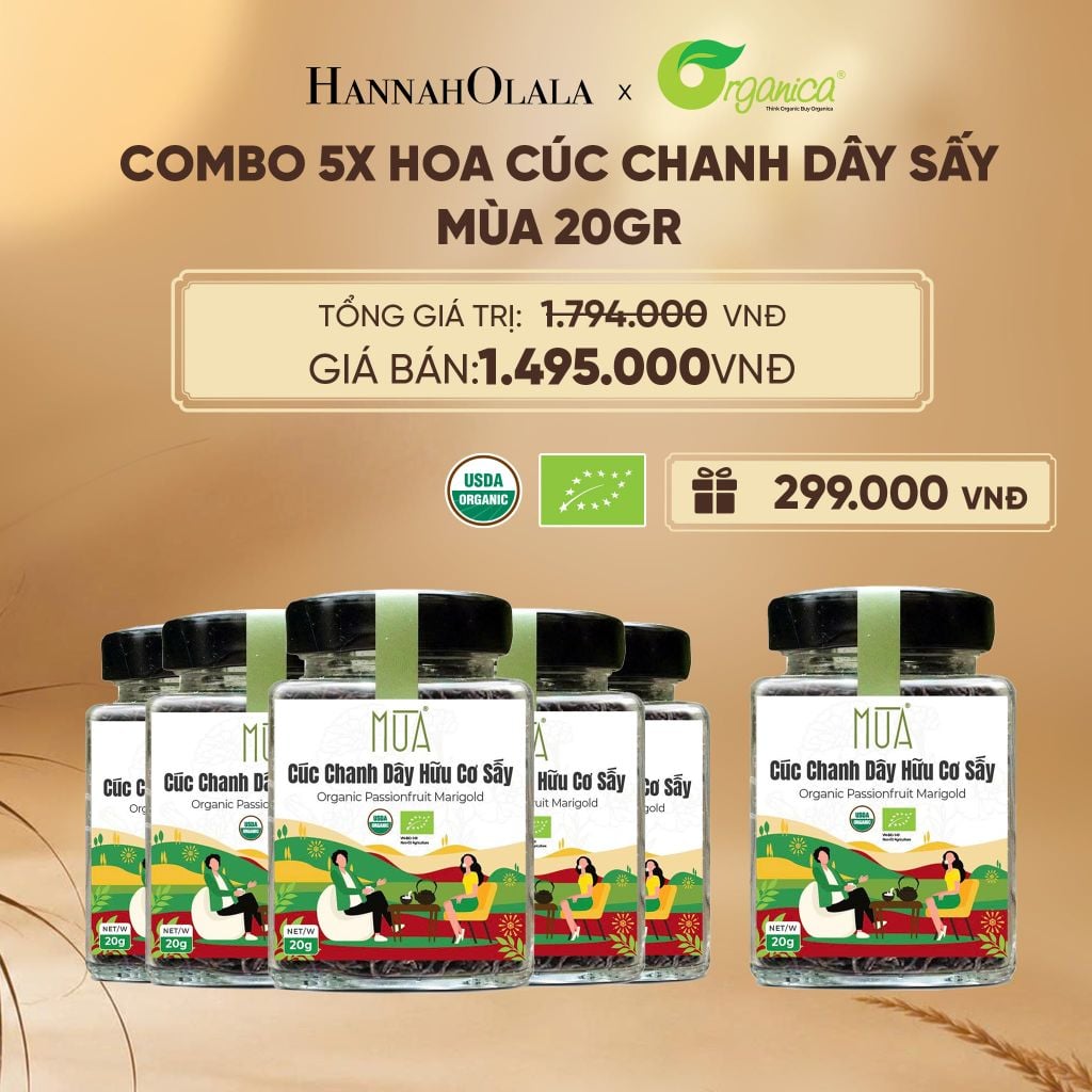  HOA CÚC CHANH DÂY SẤY MÙA 20 GR - DEAL 16 - E86 