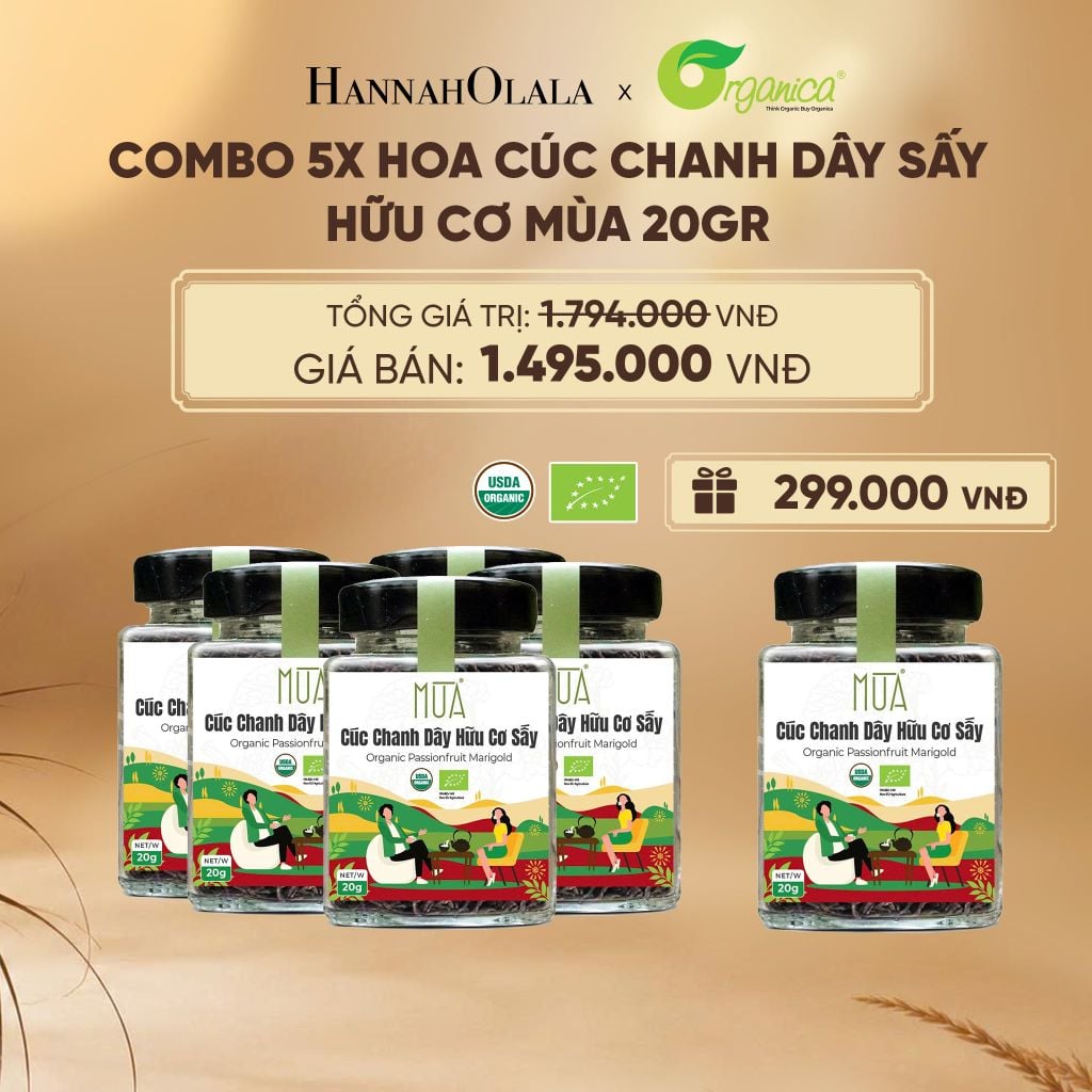  HOA CÚC CHANH DÂY SẤY HỮU CƠ MÙA 20 GR - E263 