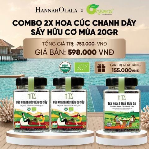  HOA CÚC CHANH DÂY SẤY MÙA 20 GR - DEAL 19 