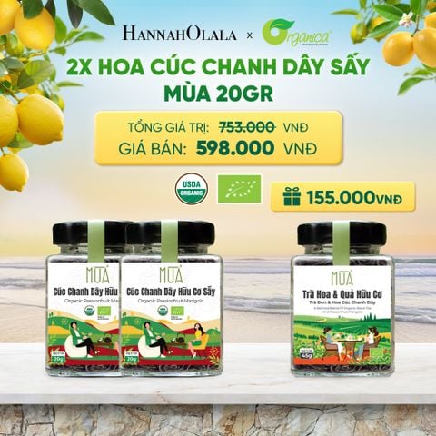  HOA CÚC CHANH DÂY SẤY MÙA 20GR - DEAL 19 