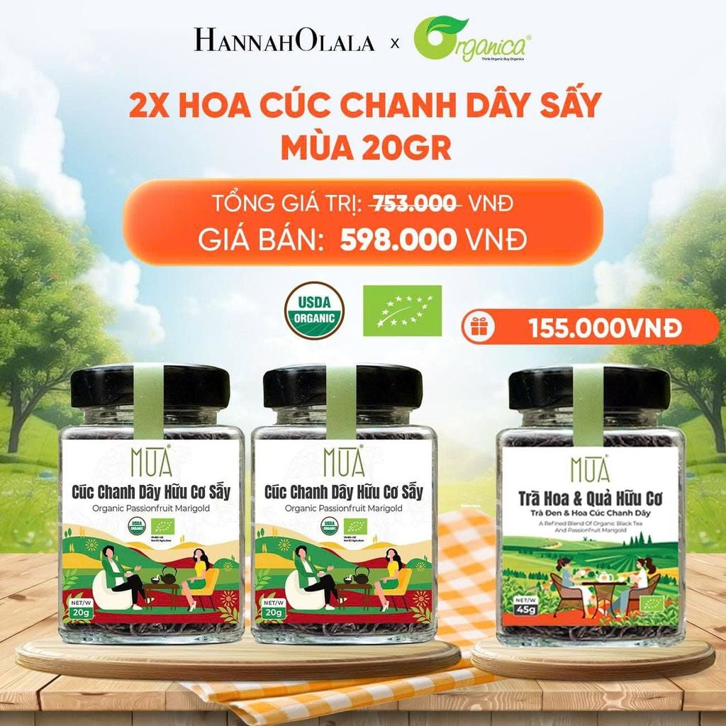  HOA CÚC CHANH DÂY SẤY MÙA 20 GR - DEAL 19 